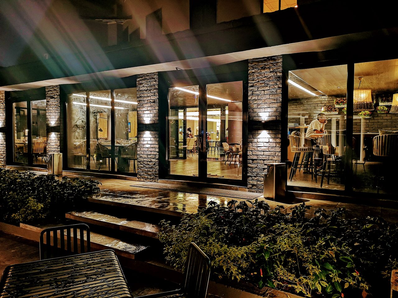 Circa Cactus - Image 1