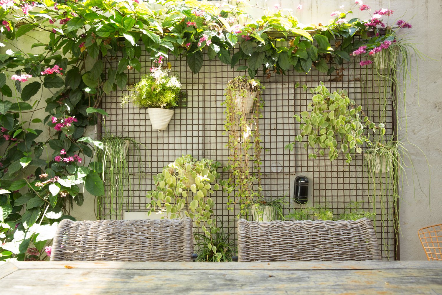 Casa Amora - Image 1