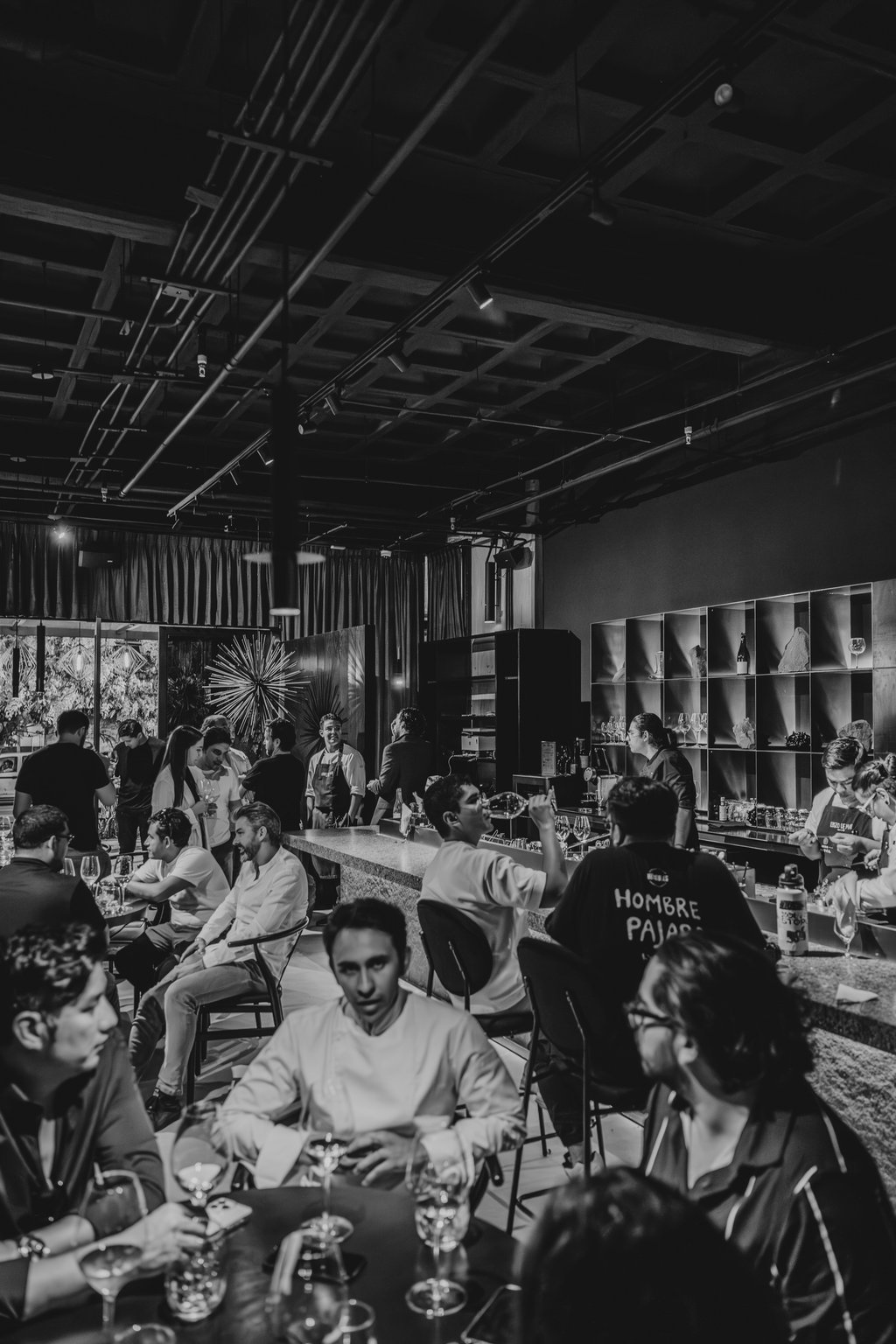 Erizo de Mar - Image 1